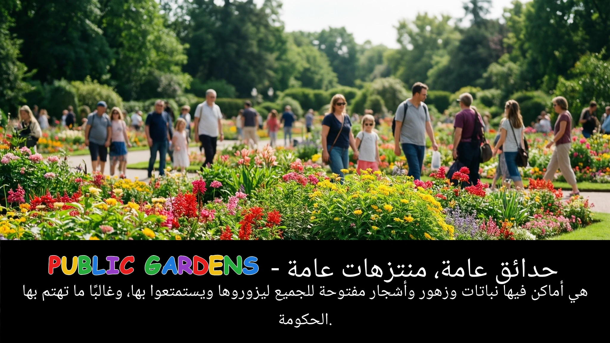 Arabic Illustration for public gardens